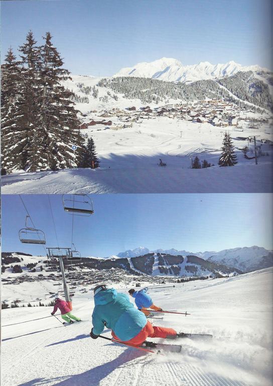 Les Saisies Bisanne Apartment Bagian luar foto