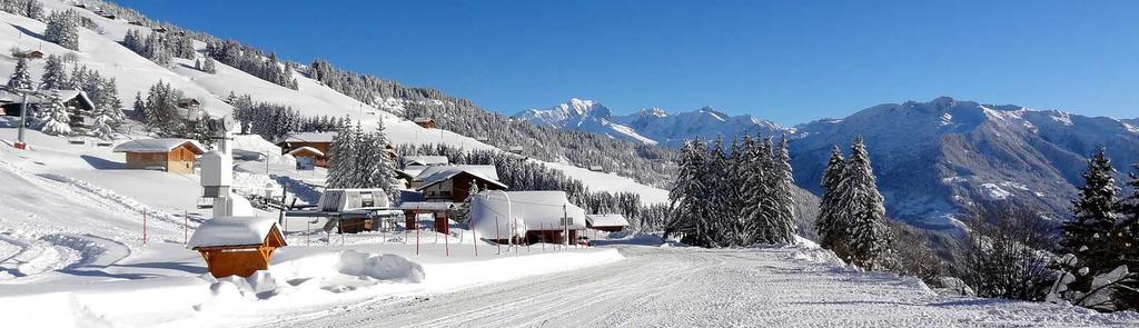 Les Saisies Bisanne Apartment Bagian luar foto